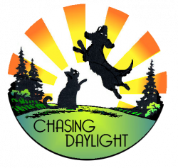 Chasing Daylight Logo